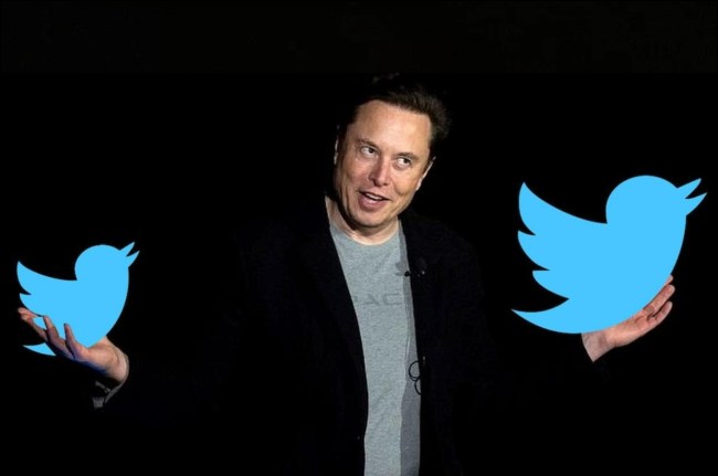 Twitter Blue Tick, Twitter Blue Tick Paid Service