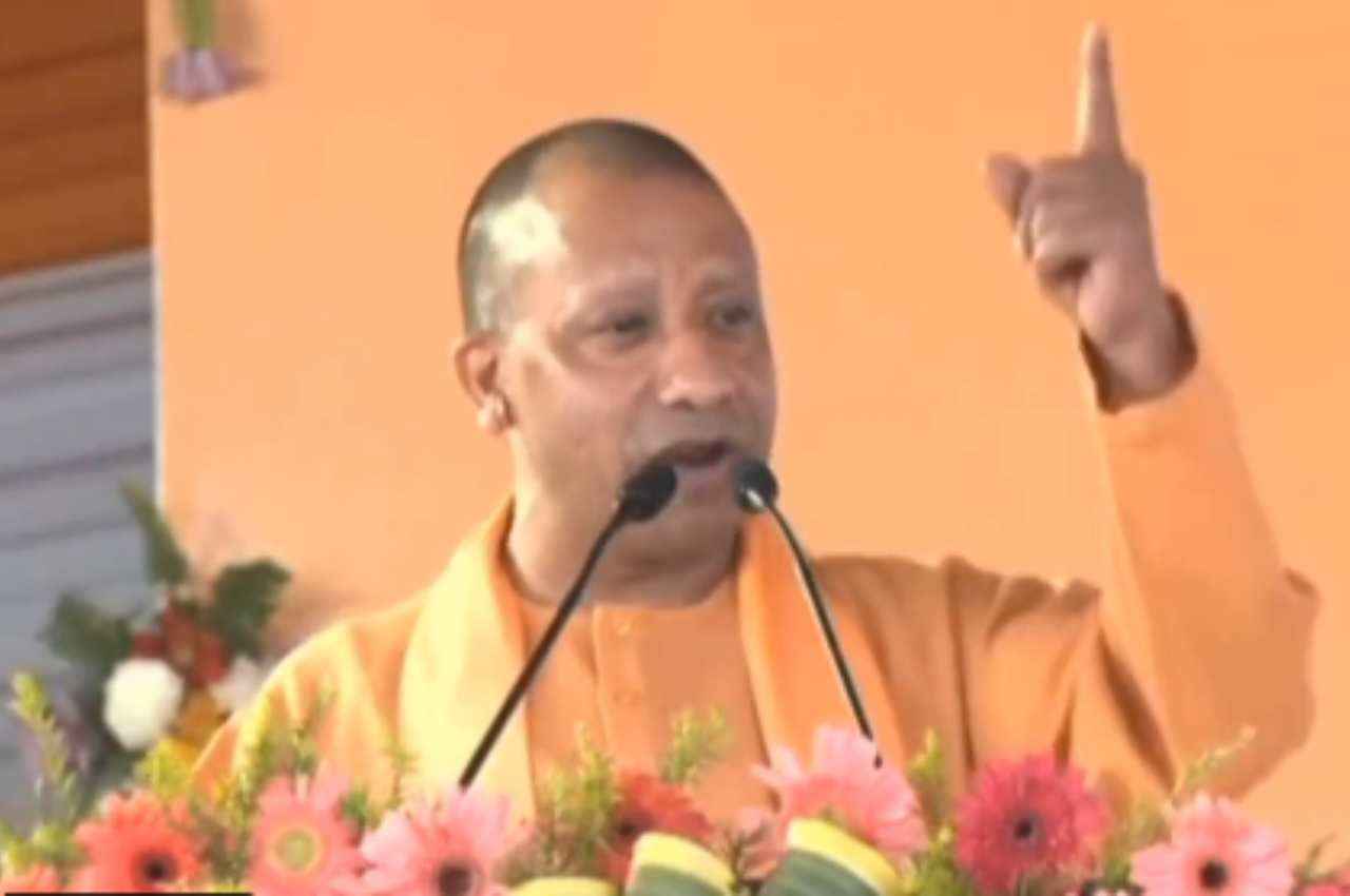Yogi