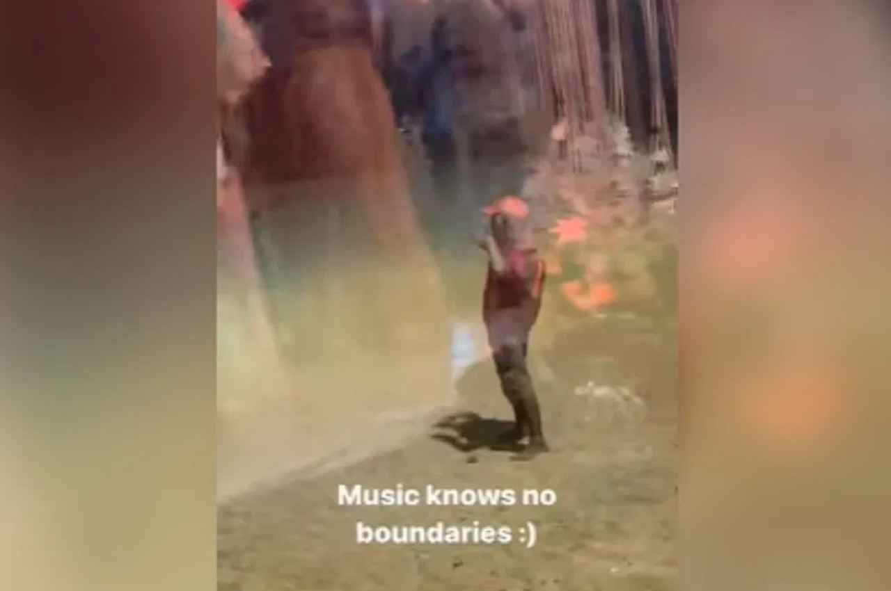 Viral Video: 'सपने में मिलती है' गाने पर जोमैटो डिलीवरी बॉय का धांसू डांस, यूजर्स बोले- वाइब है