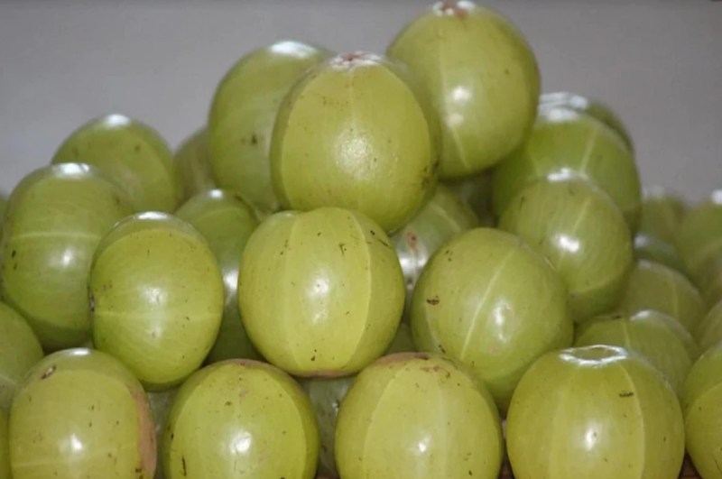 amla benefits