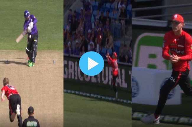 big bash league brilliant catch