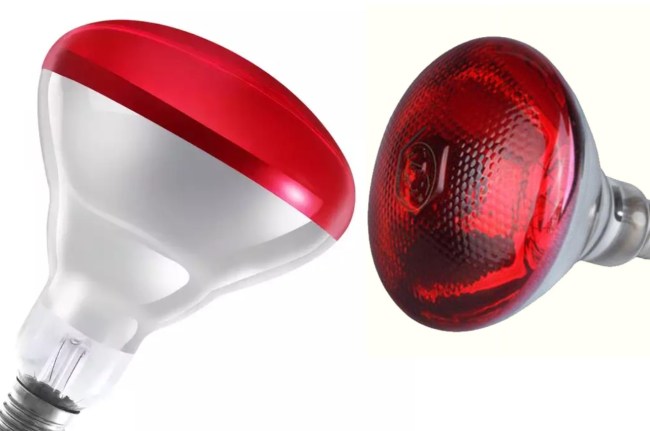 Infrared Light, Infrared Blub