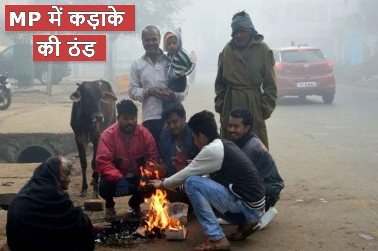 MP Weather: मध्य प्रदेश में सर्द हवाओं ने बढ़ाई ठंड, कड़ाके की सर्दी से छूटेगी कंपकंपी