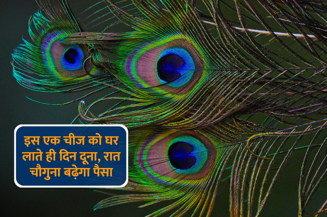 Vastu Tips, Vastu Tips in hindi, upay for money, Jyotish Tips,