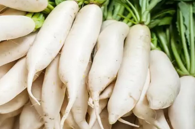 winter vegetable raddish