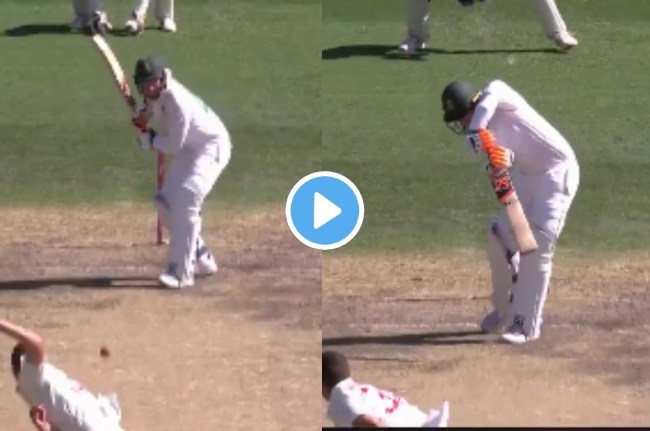 AUS vs SA 3rd Test Josh Hazelwood Heinrich Klaasen