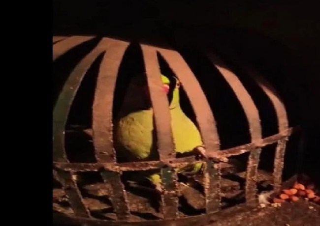 BIHAR POLICE BIHAR POLICE