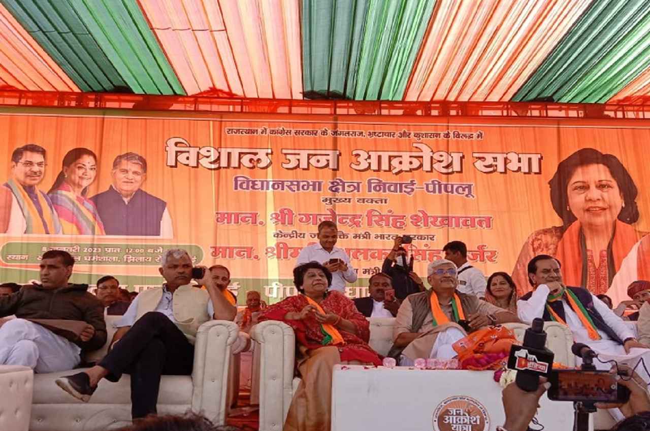 BJP Review Meeting