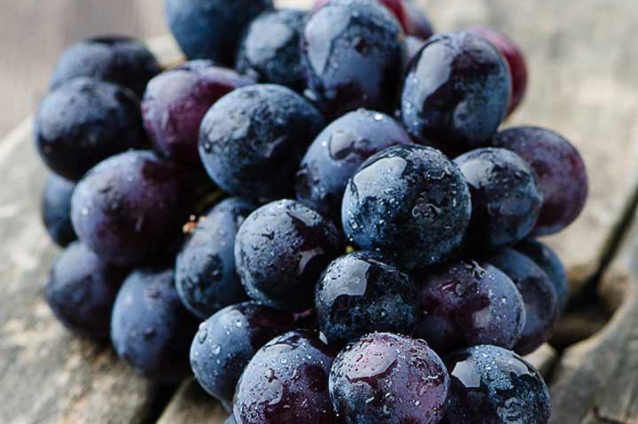 Black Grapes Benefits kale angoor khane ke fayde