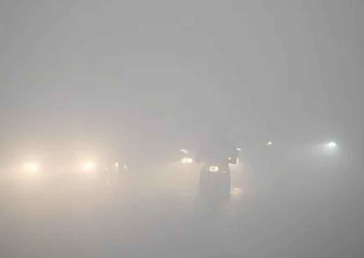 Delhi Cold Wave: कड़ाके की ठंड और कोहरे के बीच 50 से अधिक फ्लाइट्स और 29 ट्रेनें प्रभावित
