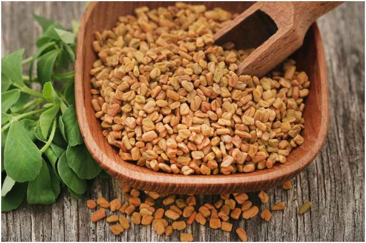 Fenugreek Leaves Benefits: इन बीमारियों का रामबाण इलाज है मेथी, आज से ही शुरू करें सेवन