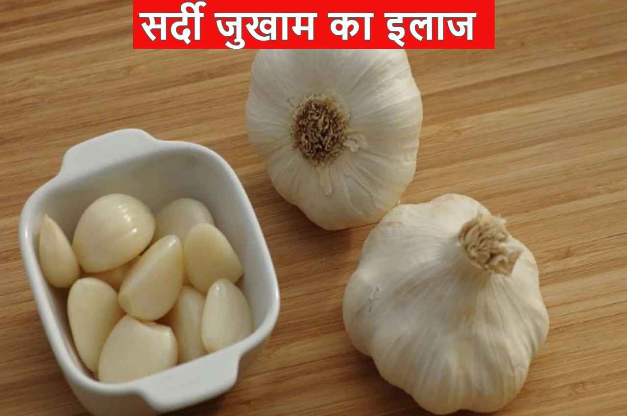 Garlic in Winter: सर्दी-जुखाम से हैं परेशान, इस तरह करिए लहसुन का इस्तेमाल, वजन भी कम होगा