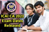 ICAI CA 2023 Exam Dates