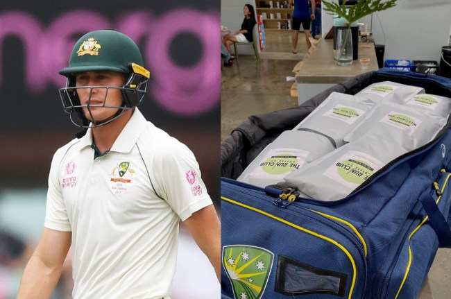 IND vs AUS Marnus Labuschagne David Warner Dinesh Karthik