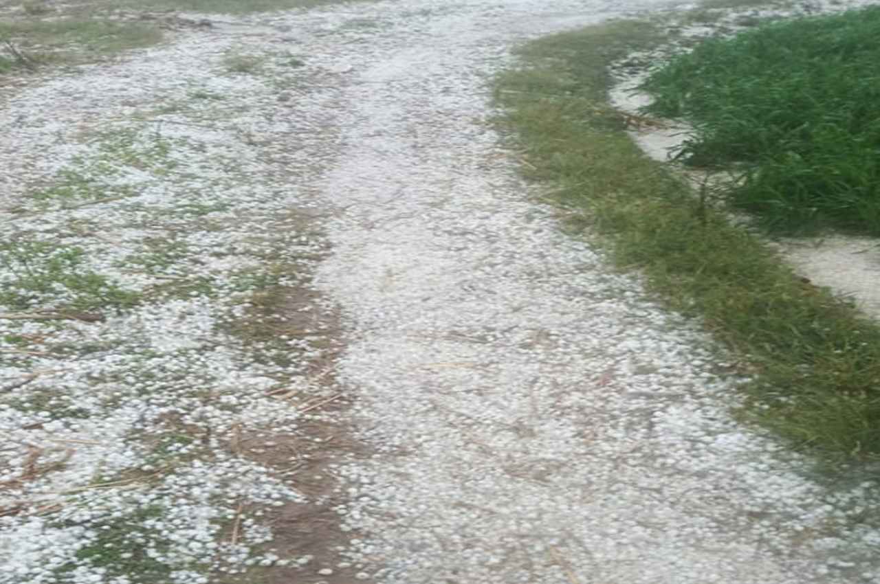 Weather Update: राजस्थान में पड़ रही हाड़ कंपा देने वाली ठंड, इस शहर में तापमान रहा माइनस में, जानिए...