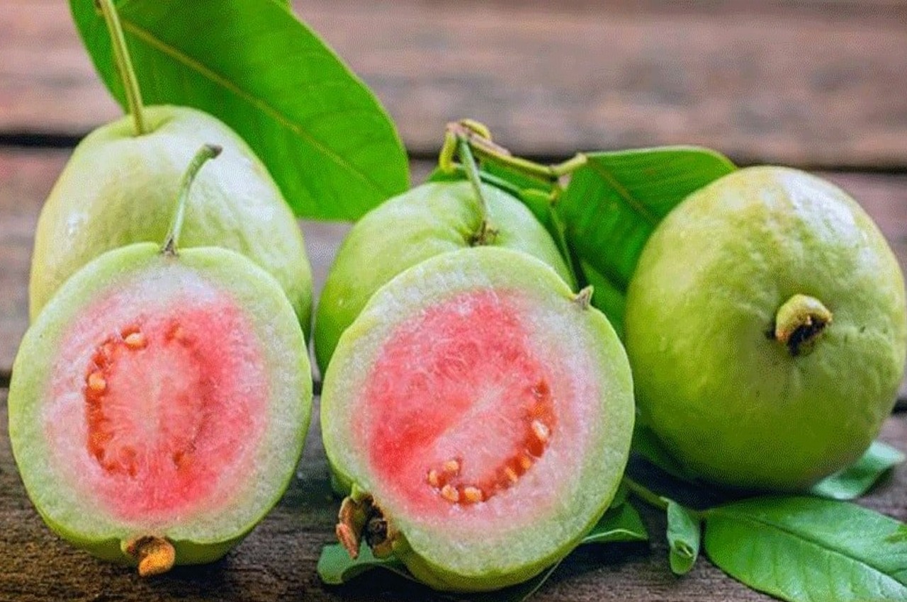 Benefits of guava