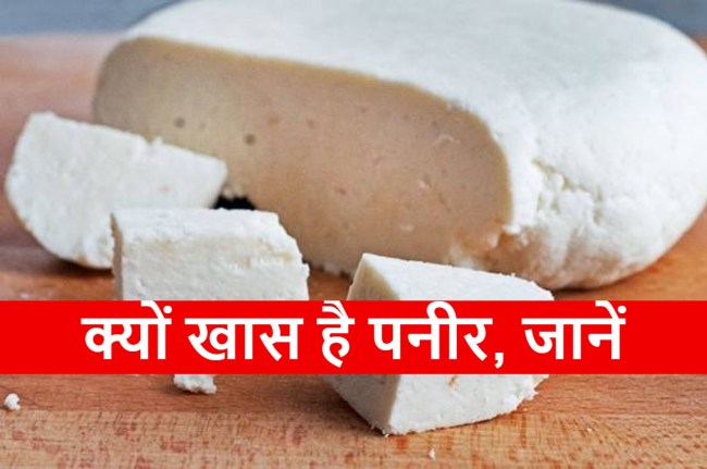 Paneer ke fayde