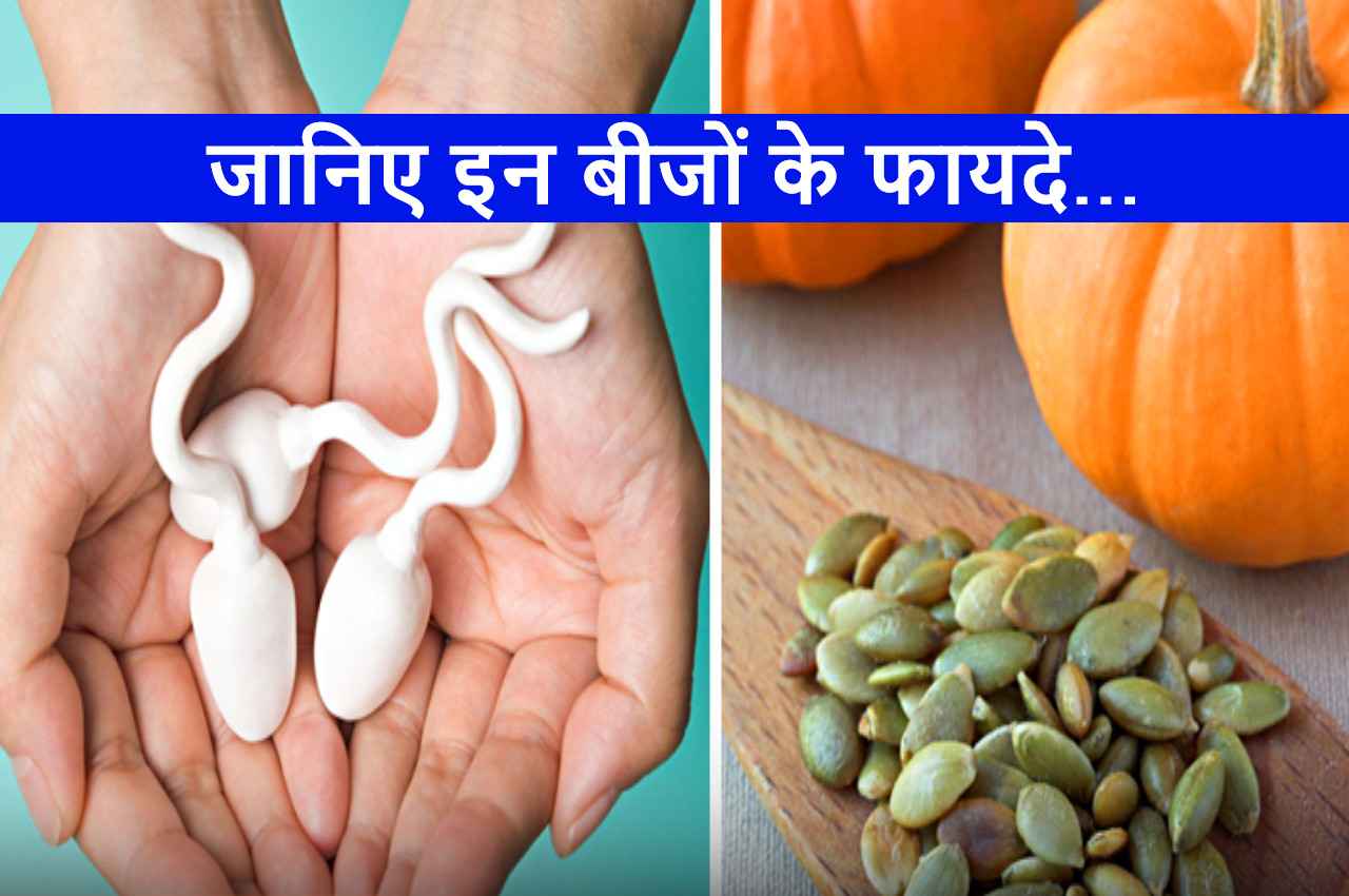 Benefits of Pumpkin Seeds: शादीशुदा पुरुषों के लिए वरदान हैं ये बीज, मिलते हैं यह 10 जबरदस्त फायदे