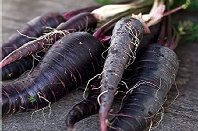 Black Carrot Benefits