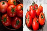 Tomato benefits