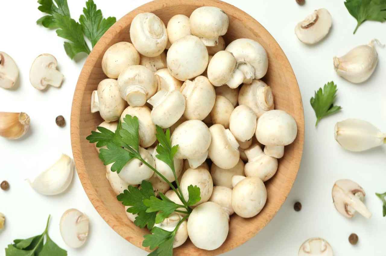 Mushrooms Benefits: कई गंभीर बीमारियों से बचाती है ये चीज, हड्डियां होती हैं ताकतवर, जानिए जबरदस्त फायदे