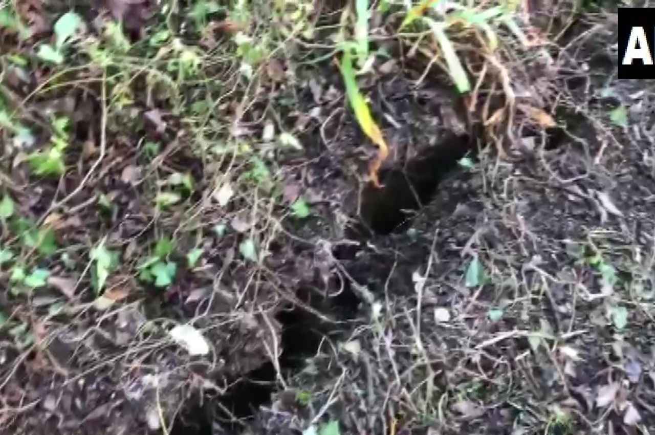 Joshimath Sinking: जोशीमठ-औली को जोड़ने वाली रोपवे के प्लेटफॉर्म में दरार, क्लाइमेट साइंटिस्ट बोले-स्थिति ठीक नहीं