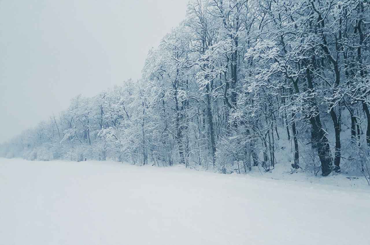 Weather Update: पहाड़ों पर बर्फीला तूफान! पश्चिमी UP में बारिश, बादलों की गर्जना सुन घरों में दुबके लोग