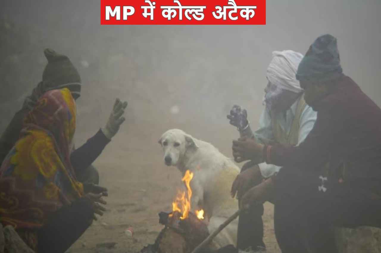 cold attack in madhya pradesh