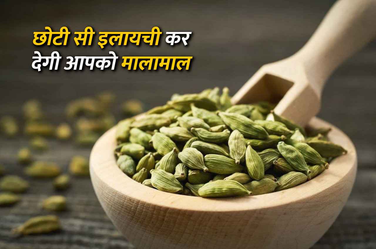 Tone Totke: छोटी सी इलायची आपको कर सकती है मालामाल