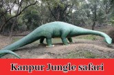 Kanpur Jungle Safari