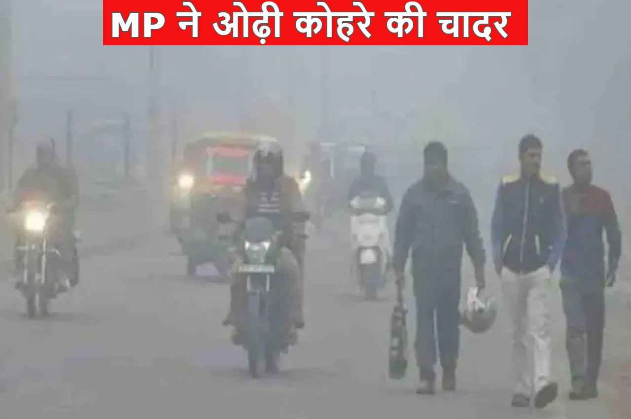 MP Weather: मकर संक्रांति पर मध्य प्रदेश ने ओढ़ी कोहरे की चादर, 2 दिन बाद फिर पड़ेगी कड़ाके की ठंड