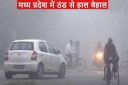 mp weather update today severe cold in madhya pradesh