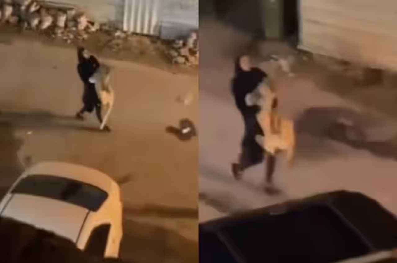 Viral Video: ये क्या...महिला शेर को गोद में उठाकर भागती दिखी, कैमरे में कैद हुई हैरान कर देने वाली फुटेज