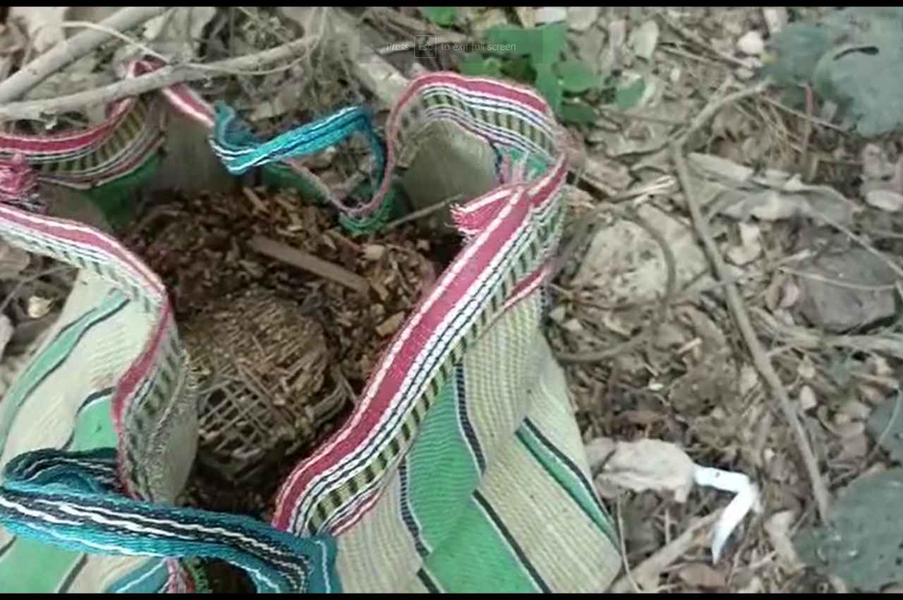 पश्चिम बंगाल में एक स्कूल के बैक साइड में मिले एक-दो नहीं 40 बम, इलाके में दहशत