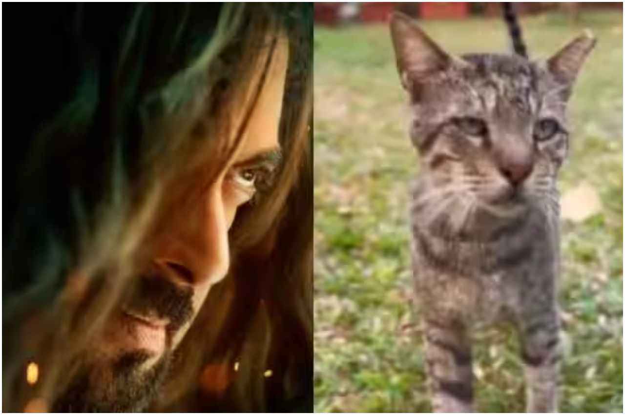 Billi Billi Teaser
