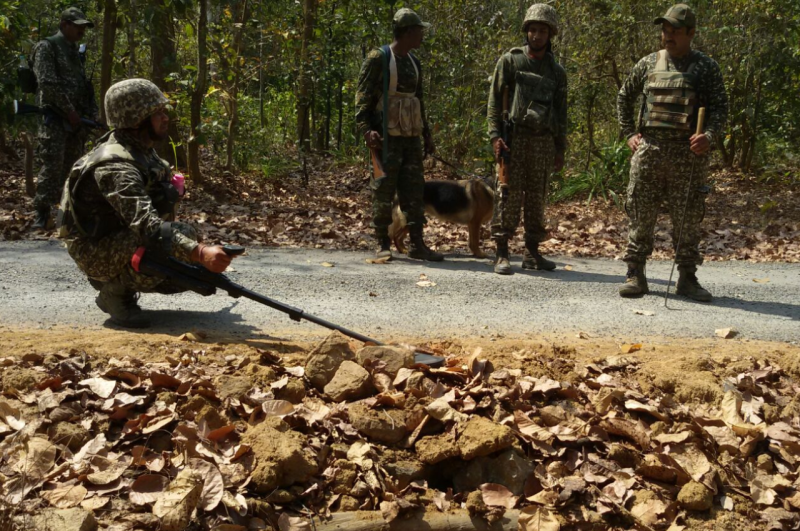 Chhattisgarh, Dog Saved Life Of ITBP Jawans, Pressure IED Bomb, Narayanpur District, Naxal Affected Narayanpur, Chhattisgarh Hindi News