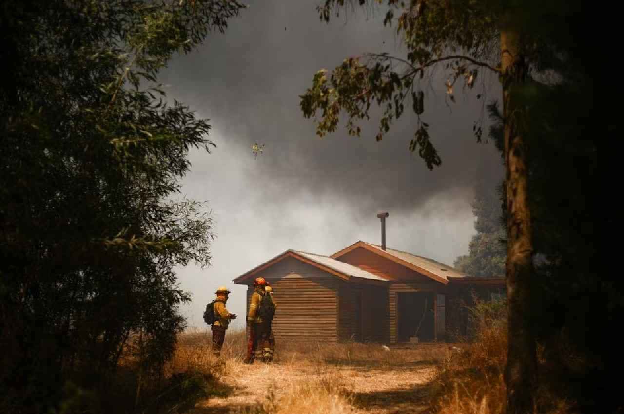 Chile Wildfires: चिली में भीषण गर्मी के बीच दर्जनों जंगल में लगी आग; 13 लोगों की मौत, हजारों जानवर भी प्रभावित