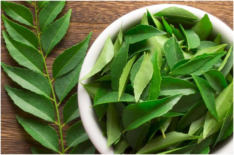Curry Leaves Benefits