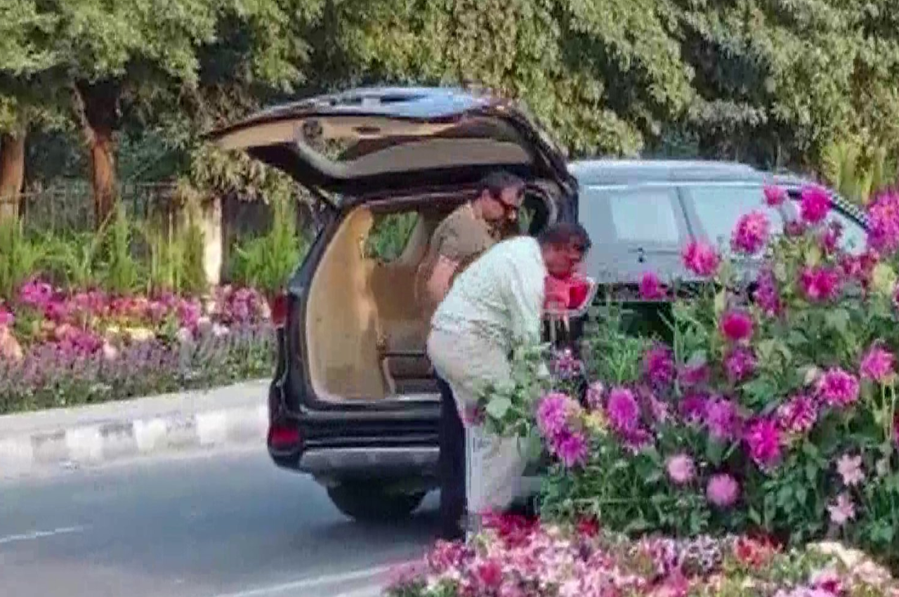 G20 Summit, G20 India, Gurugram Viral Video, Stealing Flower Pots, G20 Event In Gurugram, Gurugram News, Gurugram Metropolitan Development Authority