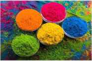Holi Ban In PAK Ban On Playing Gulal In Pakistani Universities Higher 