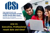 ICSI CS Executive, Professional Result