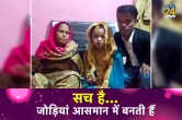 UP Unique Marriage, Aligarh Imran Groom, Three Feet Bride, Aligarh Marriage News, Aligarh News, UP News, UP