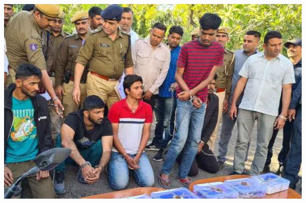Jodhpur Police Arrested 5 5-henchmen of lawrence gang Jodhpur Police Arrested 5 5-henchmen of lawrence gang