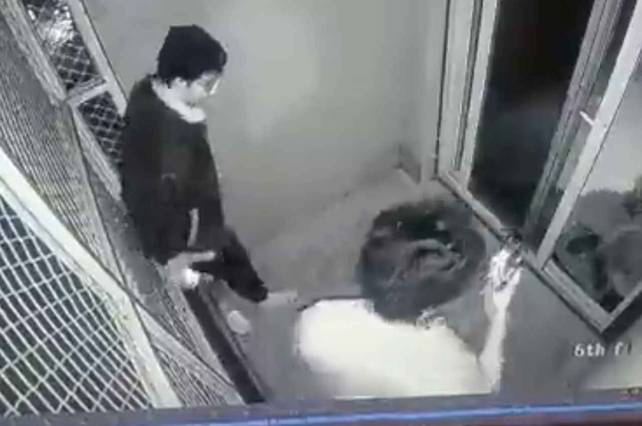 student suicide,student,kota student found death,kota student death today,jalore dalit student death,coaching student death,student dead body in kota caching center