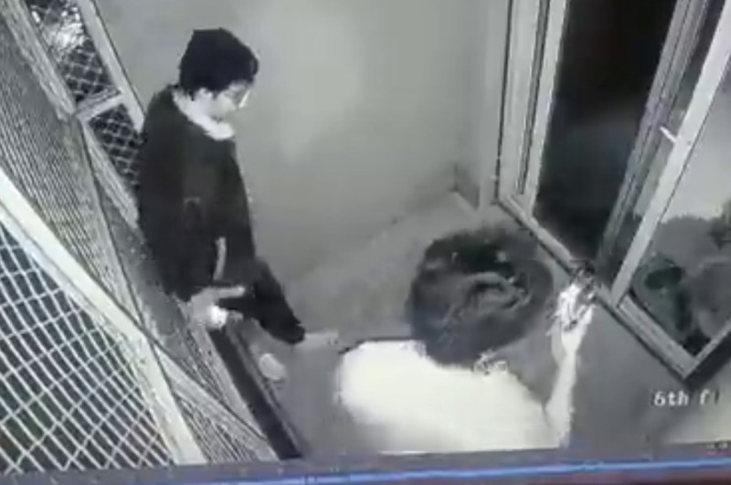 student suicide,student,kota student found death,kota student death today,jalore dalit student death,coaching student death,student dead body in kota caching center