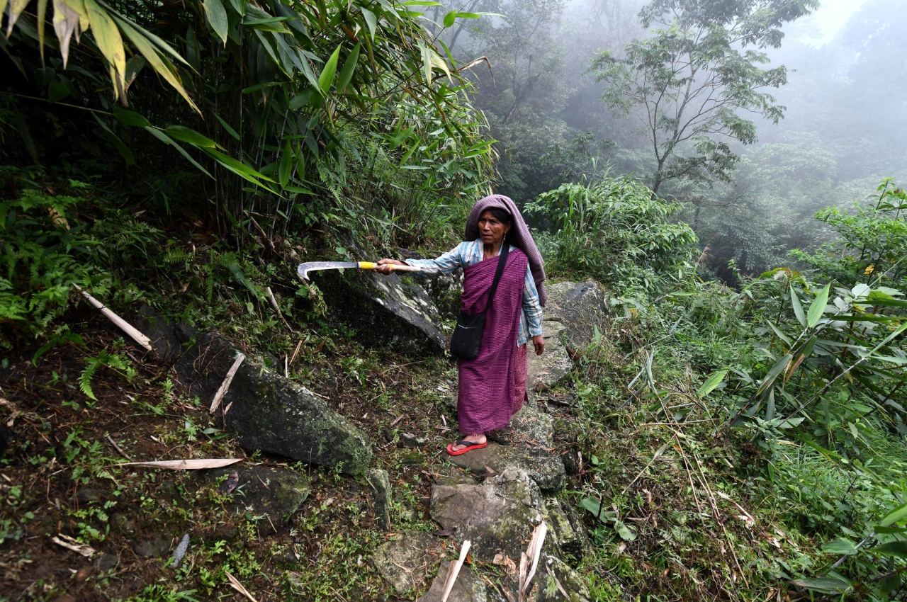 Meghalaya's