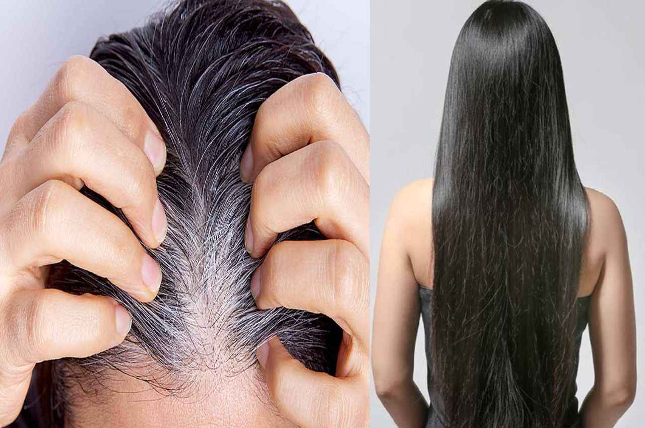 Hair Care TIPS: रात में लगाएं ये नेचुरल चीज...सुबह पाएं काले बाल, हमेशा के लिए खत्म होगी सफेद बालों की समस्या