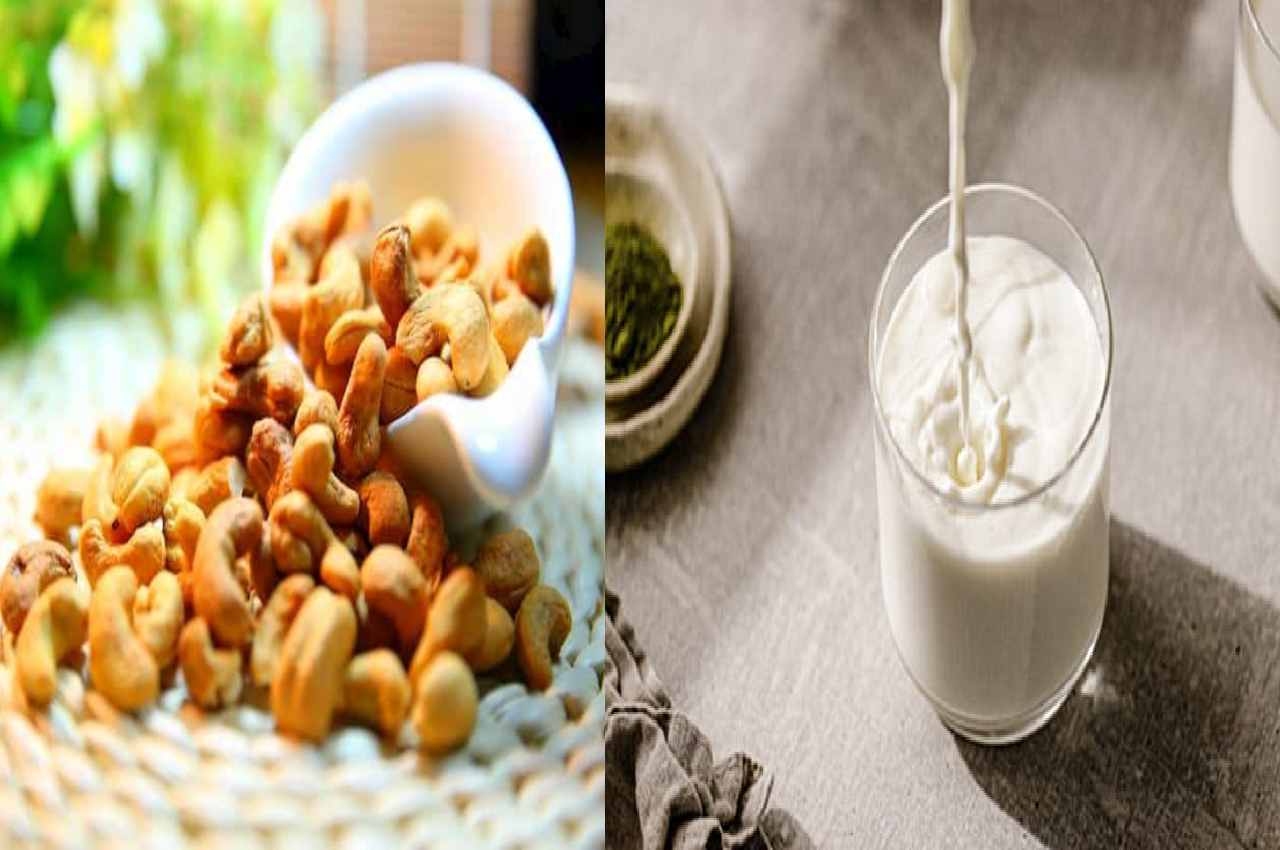 Benefits of milk and cashew tremendous health benefits