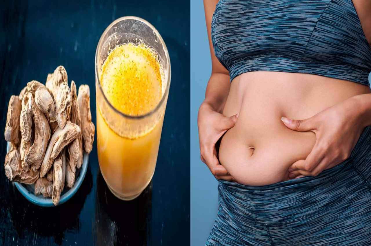 Weight Loss TIPS: इन 2 चीजों का एक साथ करें सेवन, पिघलने लगेगी चर्बी