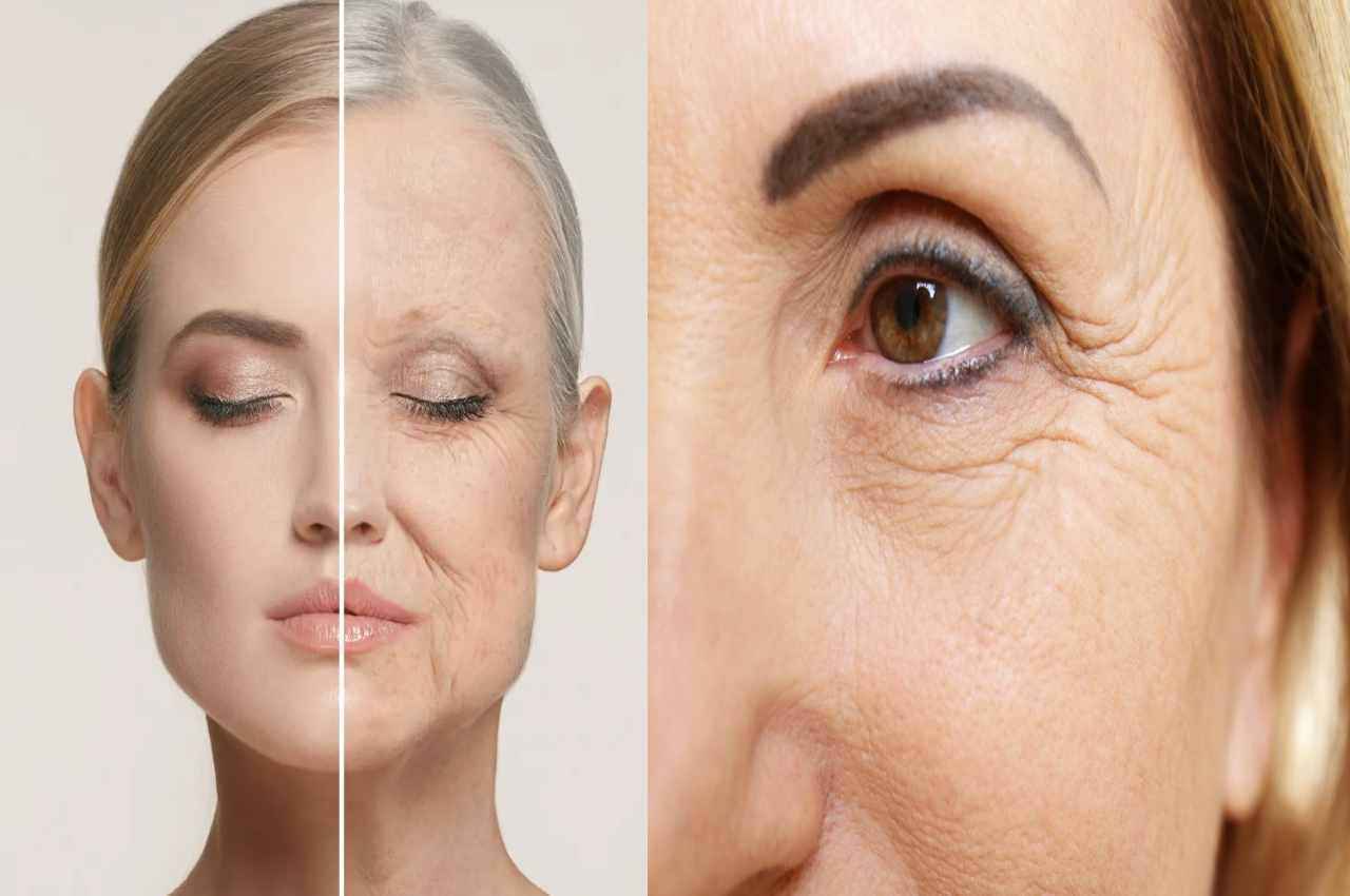 Skin care TIPS: रात में चेहरे पर लगाएं ये तेल...सोते-सोते फुर्रे हो जाएंगी झुर्रियां....50 की उम्र में भी मिलेगी जवां स्किन